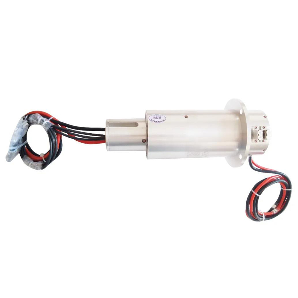 ingiant slip ring